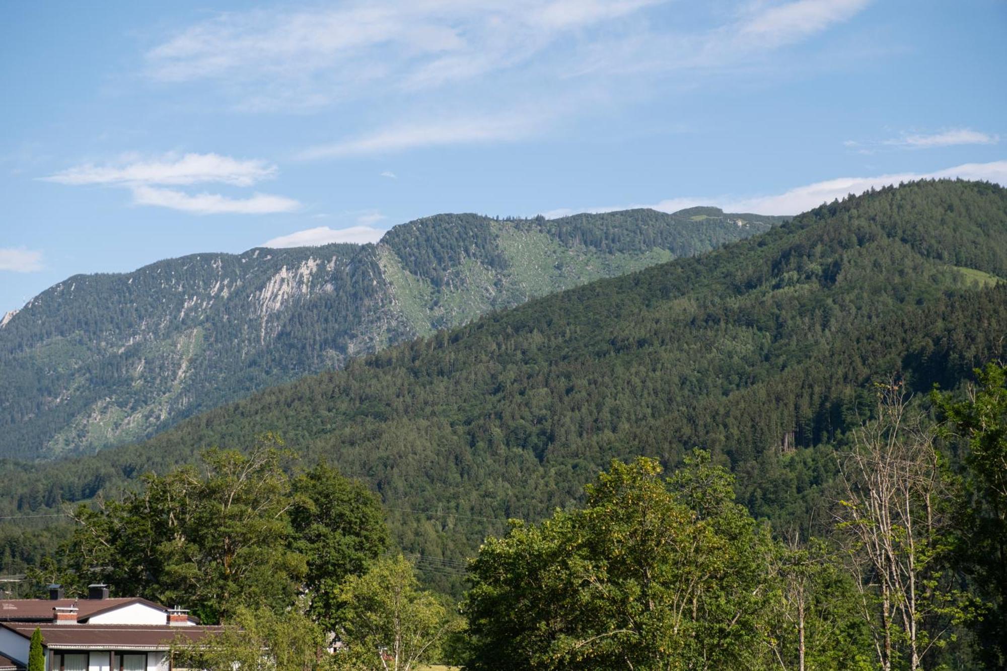 Suite Apartment Modern Getaway - Neu Renoviert - Strobl Am Wolfgangsee Exterior photo